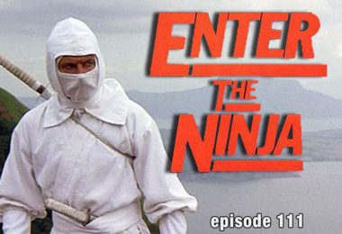 Enter the Ninja Review CFIR