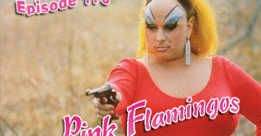 Pink Flamingos Review CFIR